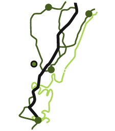 Mangrove Mountain is located between Sydney and Newcastle